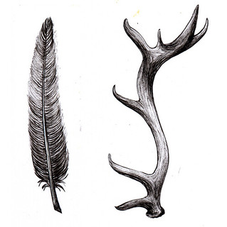 319x320 Bampw Black And White Deer Drawing Feather