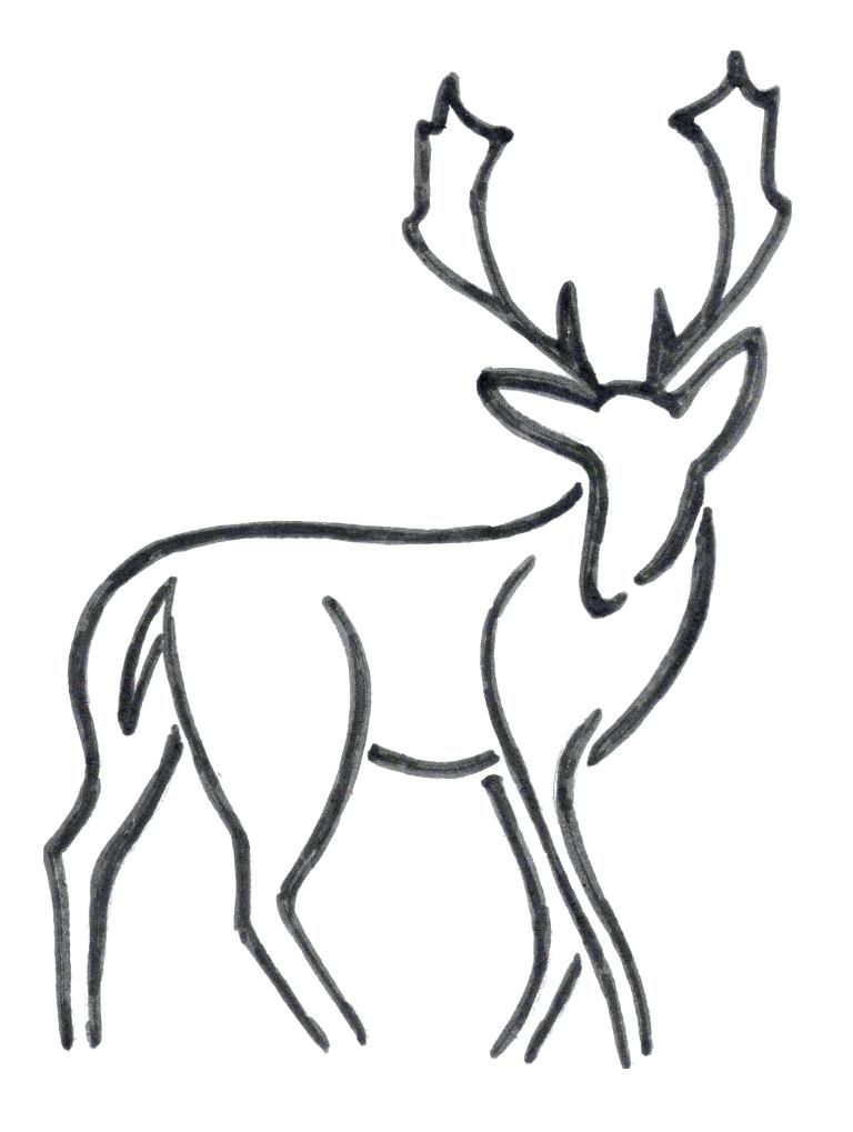 768x1019 How To Draw A Easy Deer