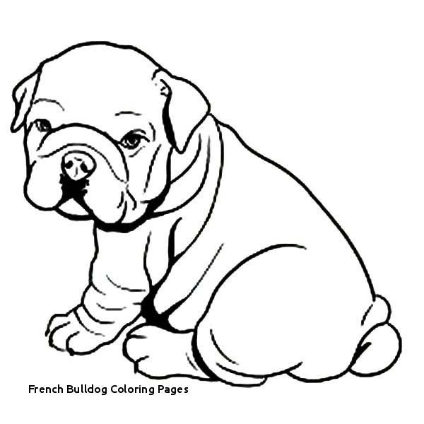 600x600 Fresh Black And White Dog Coloring Pages