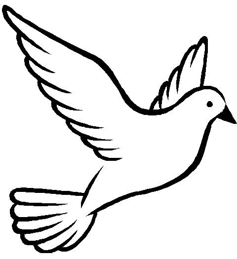 480x525 Doves Sketch Transparent Png Clipart Free Download