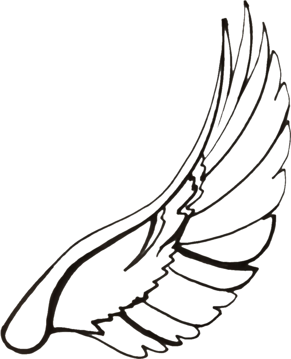 940x1160 Hd Drawing Feather Dove Transparent Png Clipart Free