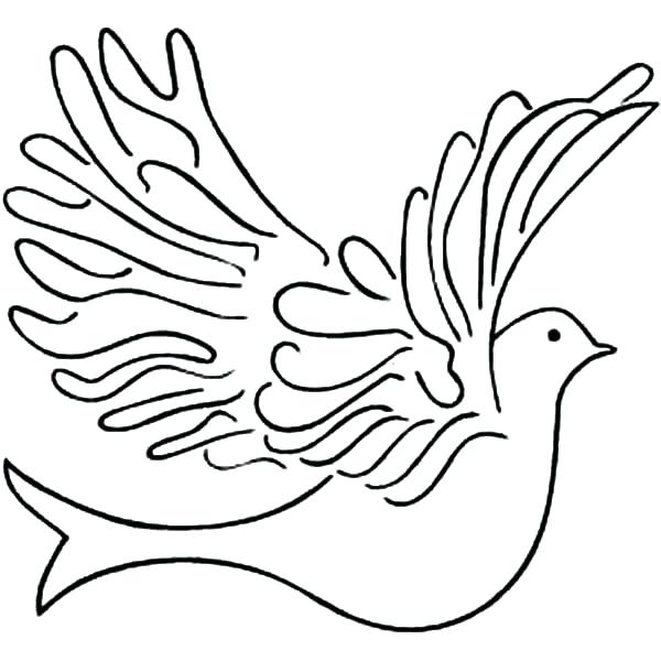 600x600 How To Draw A Easy Dove White Dove Easy Draw X Free Clip Art