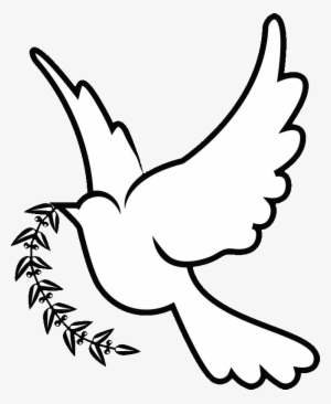 300x366 Huge Collection Of 'black And White Dove Drawing' Download More