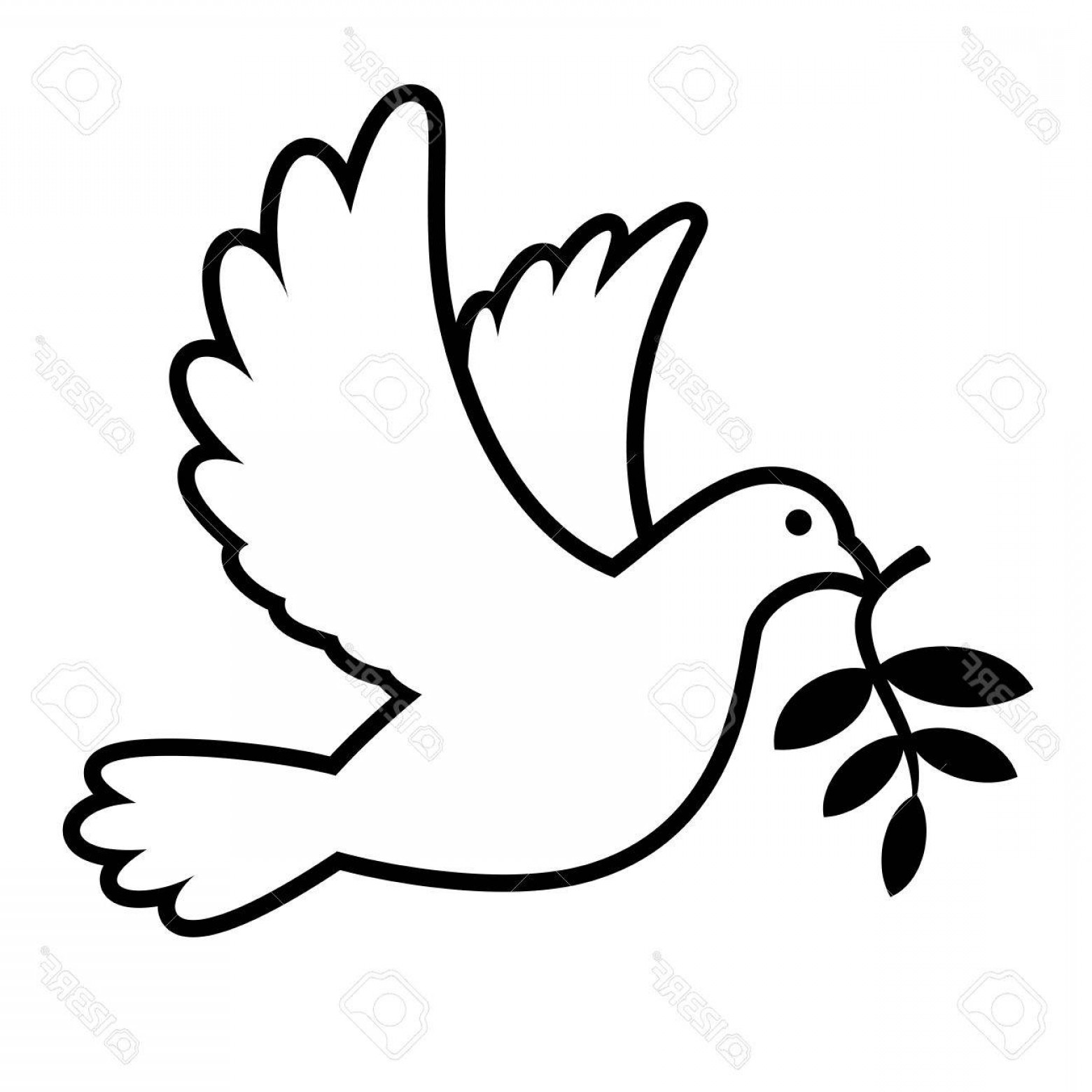 1560x1560 Photostock Vector White Dove Carrying Olive Branch Graphic