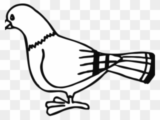 320x240 Dove Clipart Black And White