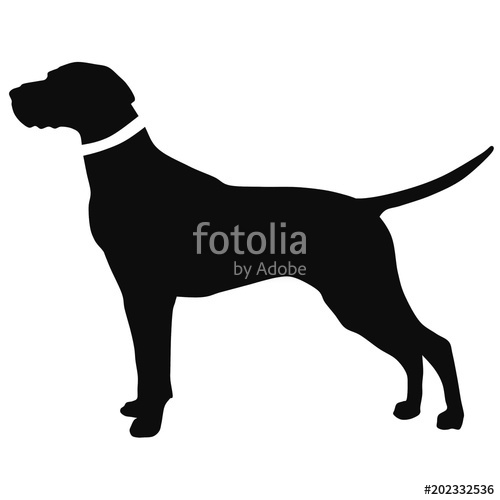 500x500 Black And White Drawing Of A Hunting Dog The Silhouette