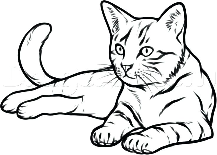 736x527 Black Outline Drawing Of A Cat In The Sun On White Background