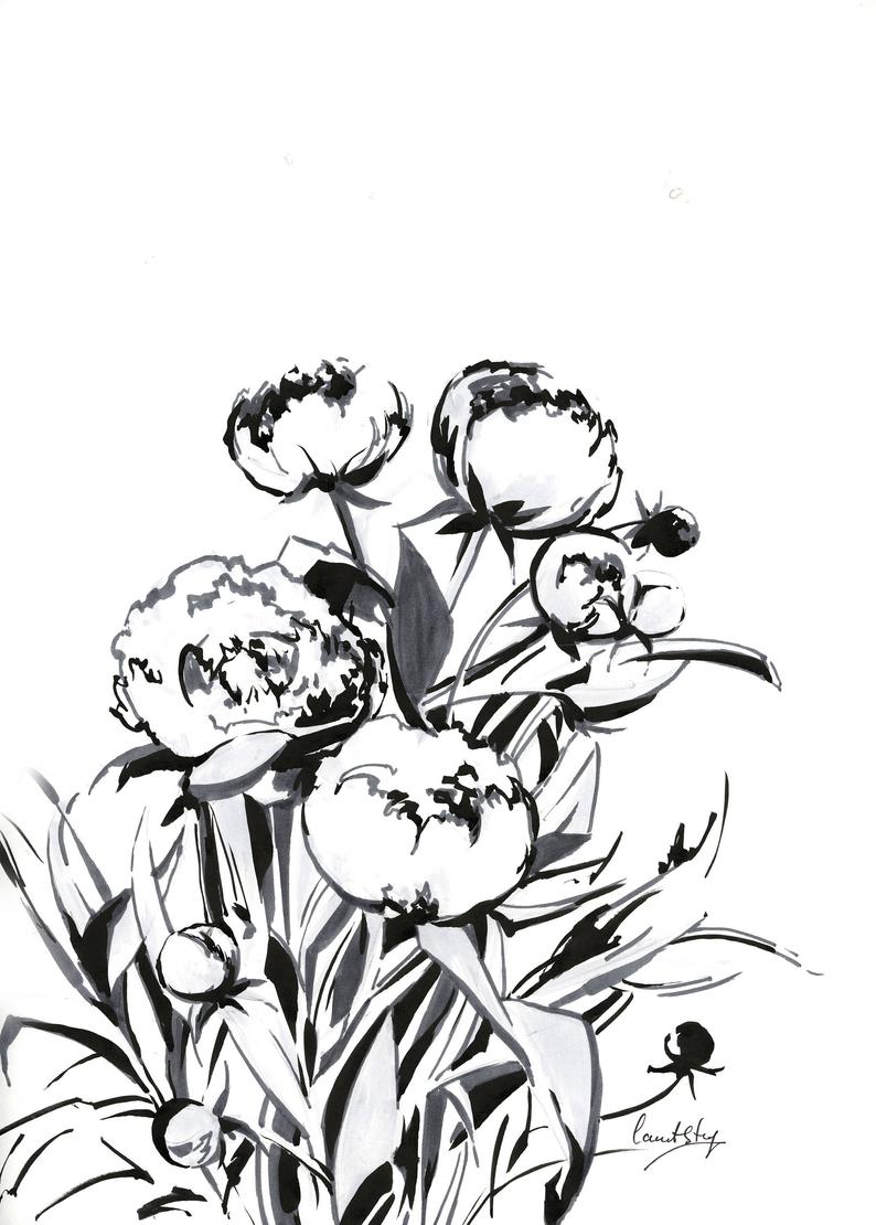 794x1110 Peonies Ink Drawing Original Ink Drawing Flowers Black And Etsy
