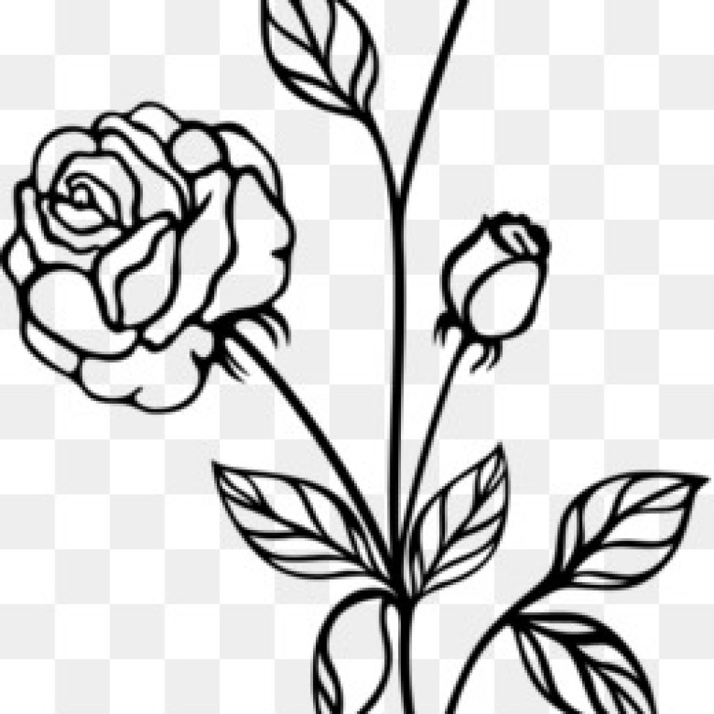 1024x1024 Rose Clipart Black And White Png, Png Collections