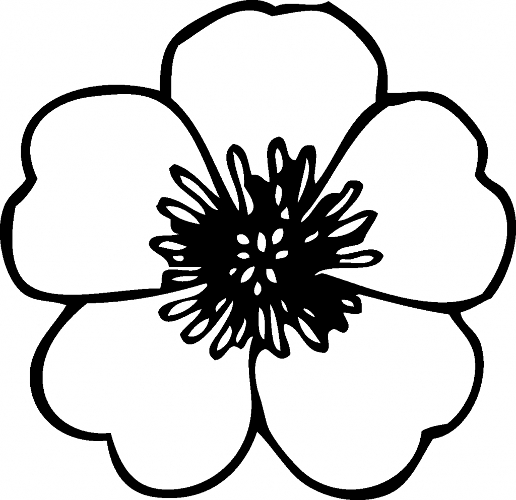 1024x993 Simple Flower Drawings Of Flowers In Black And White Drawing