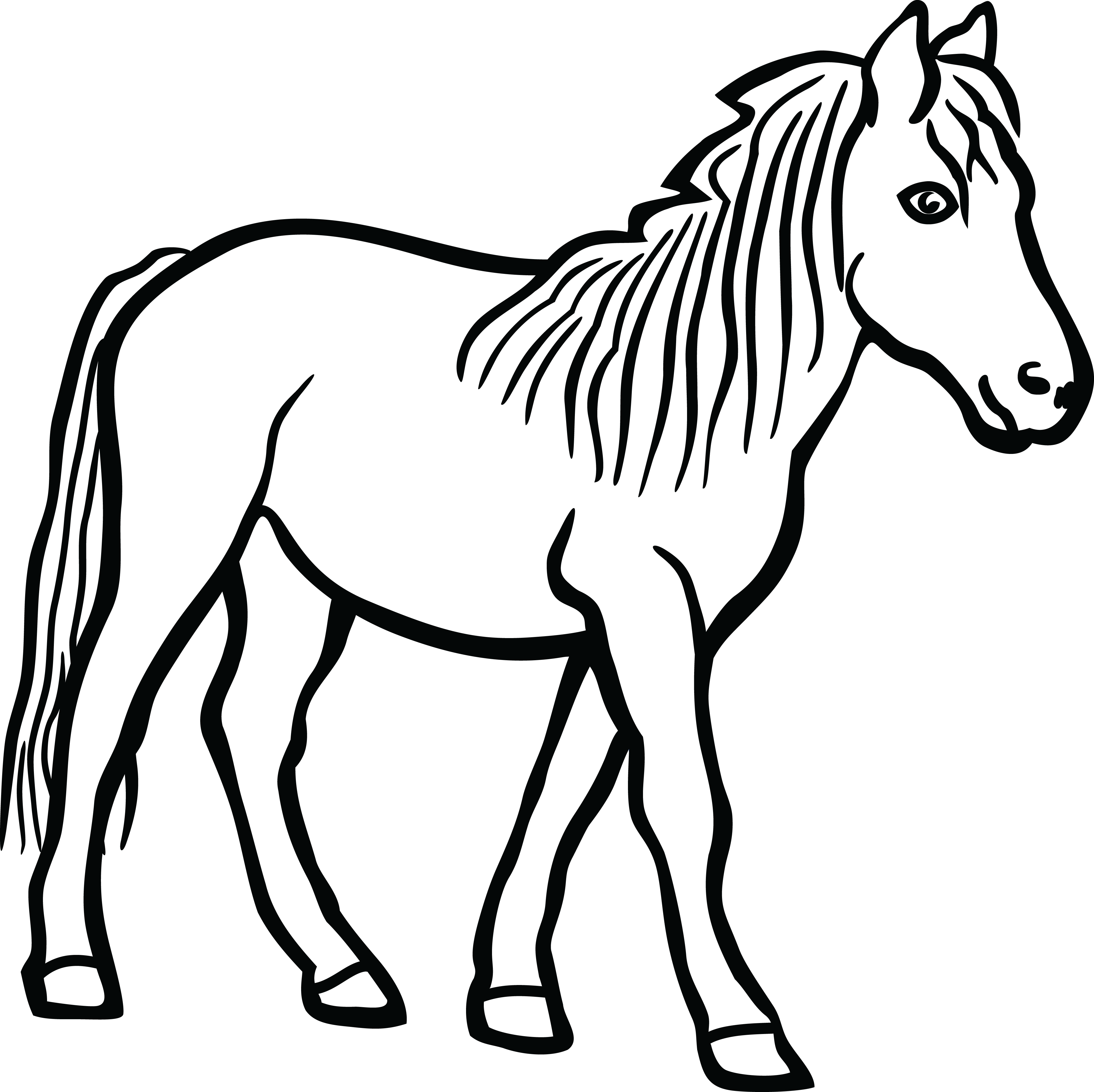 4000x3991 Horse Clipart Black And White Png
