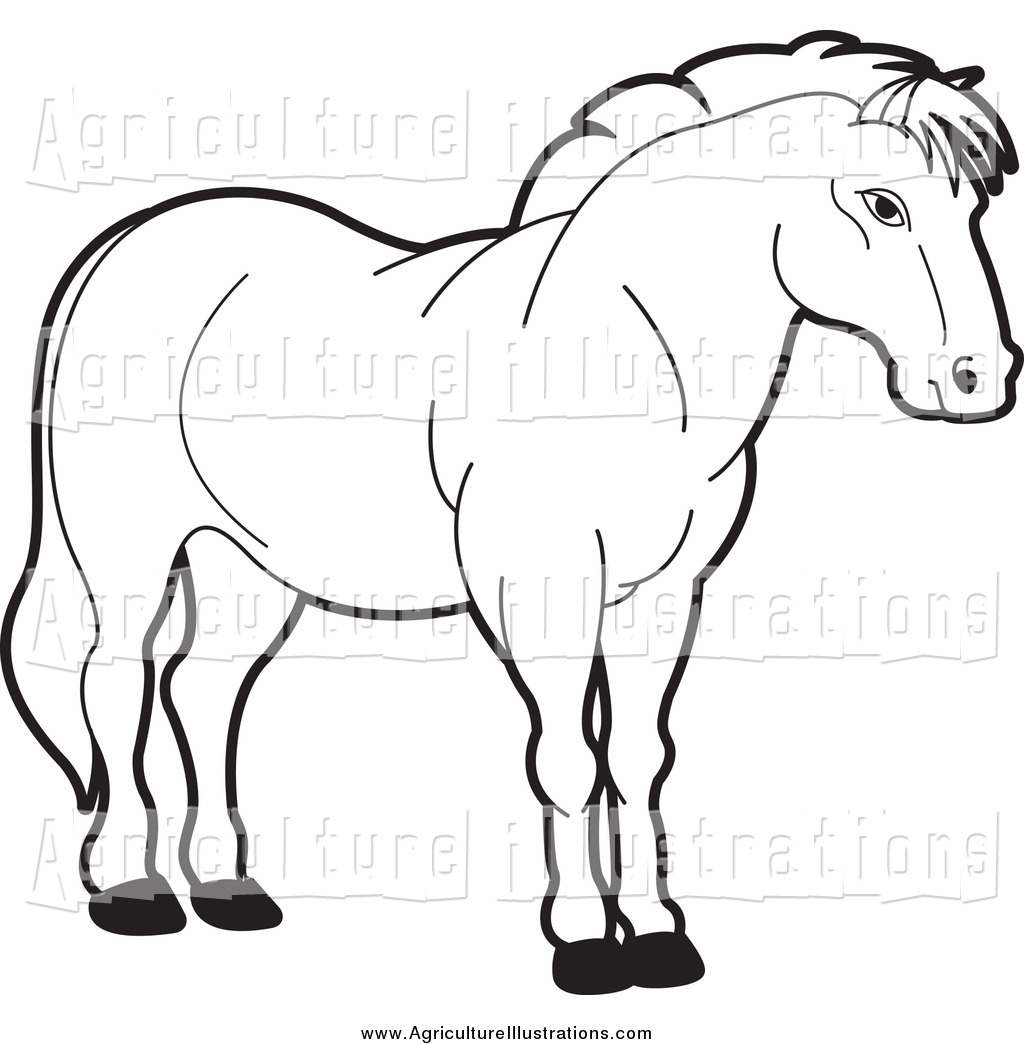 1024x1044 Horses Clipart Black And White Clip Art Images