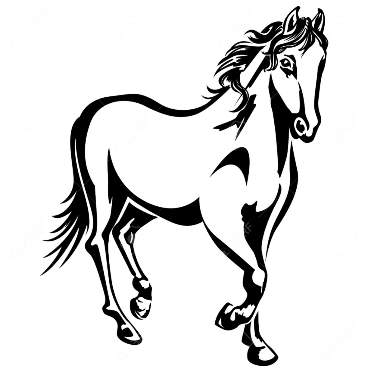 1222x1235 Running Black And White Horse Wallpapers Sheet