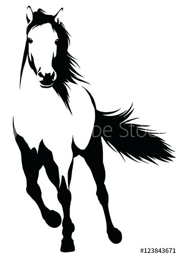 350x500 Black And White Horse Head Drawings How To Draw A Arzillo