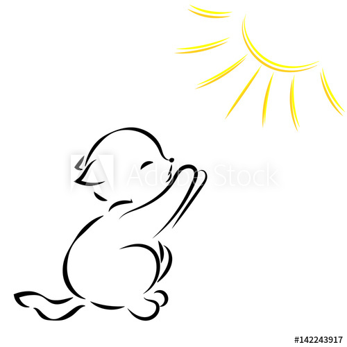 500x500 Vector Black Outline Drawing Of Kitten In The Sun On White