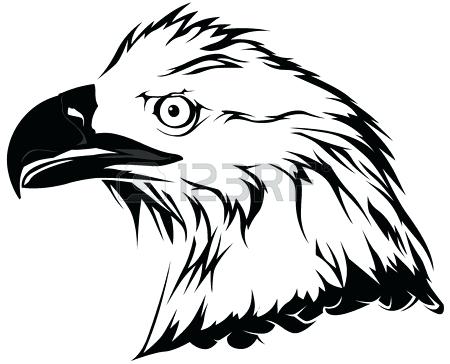 450x364 Black And White Eagle Outline Illustration Vector Bald Flying
