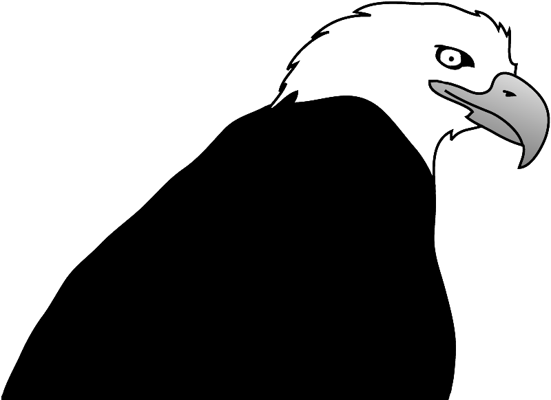 800x582 Bald Eagle Clip Black And White Download Black And White Huge