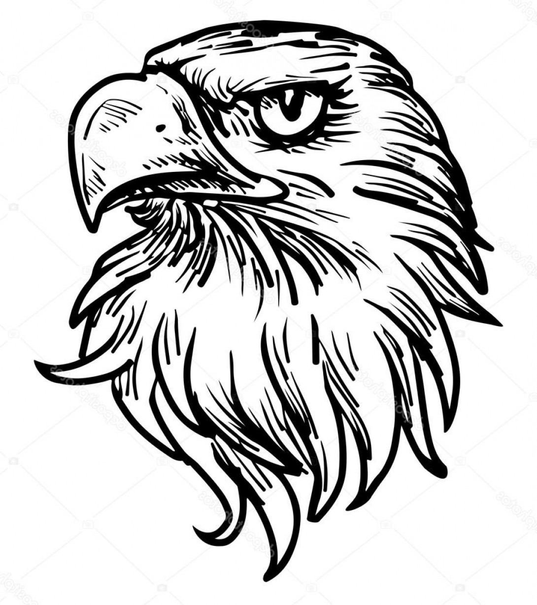1090x1228 Eagle Head Vector Art Soidergi