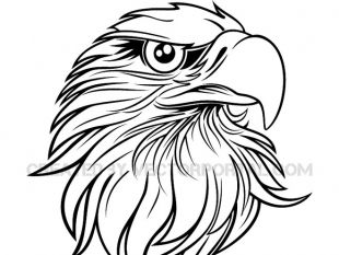 310x233 Eagle Black And White Vector Free Vectors Ui Download