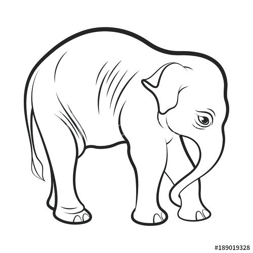 500x500 Elephant Drawing Outline Plain Abstract Elephant Black And White