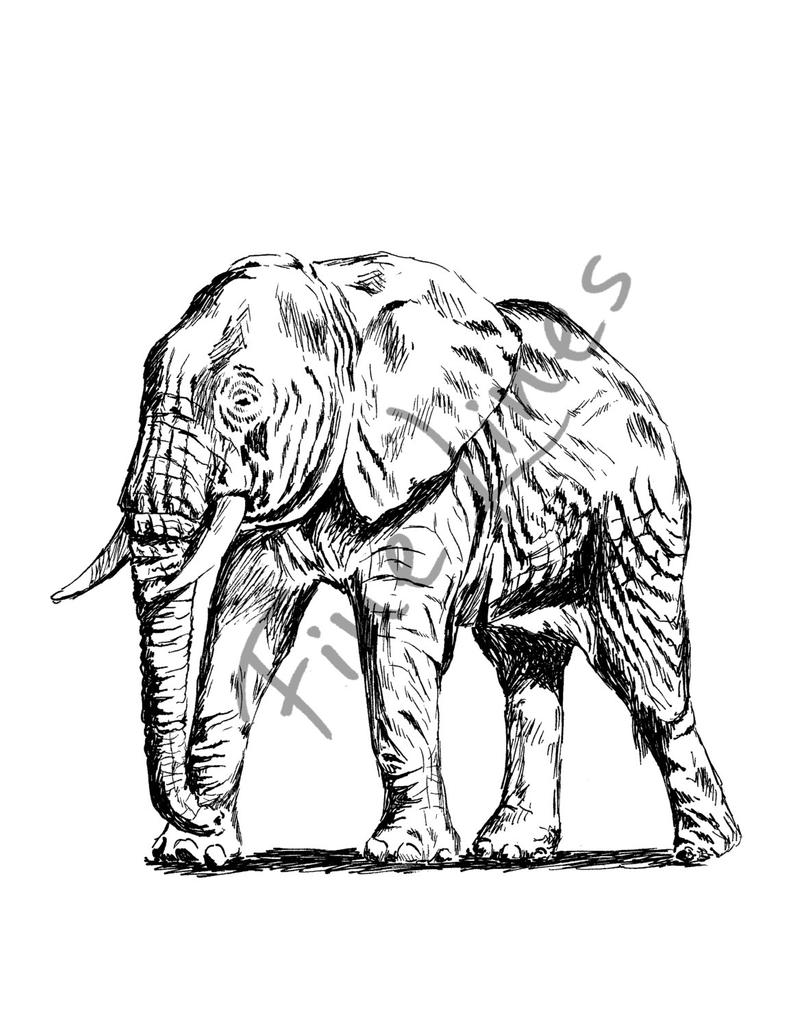 794x1028 Elephant Wall Art Black And White Elephant Printable Etsy