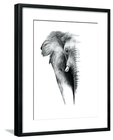 395x488 Black And White Elephant Mattlatham