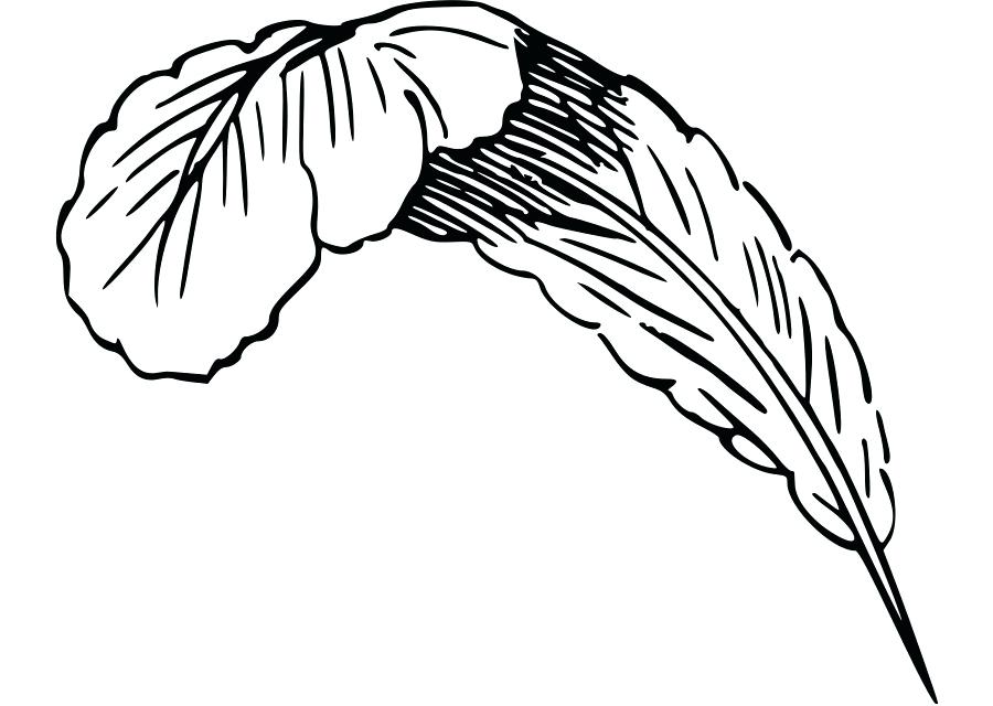 900x640 Feather Clip Art Peacock Clipart Black And White Codewolf