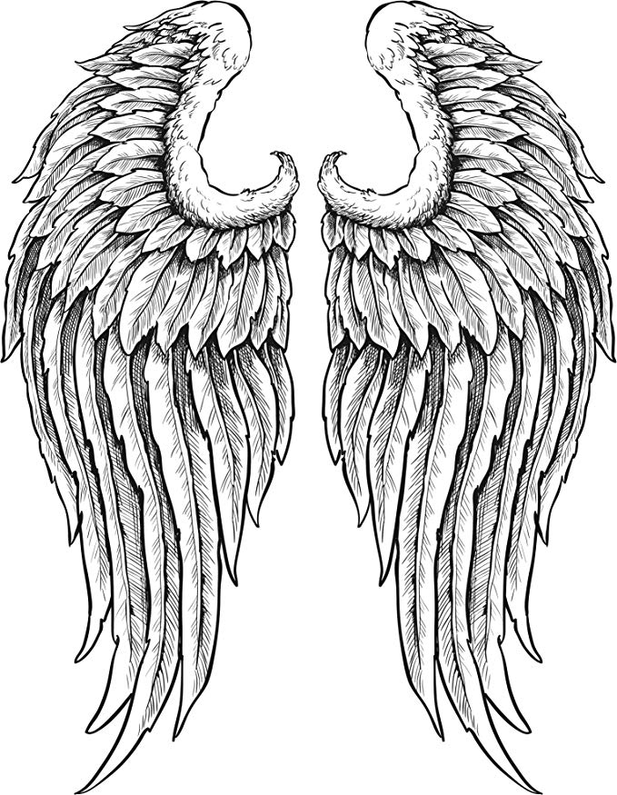 679x875 Detailed Angel Wings With Feathers Black White Vinyl