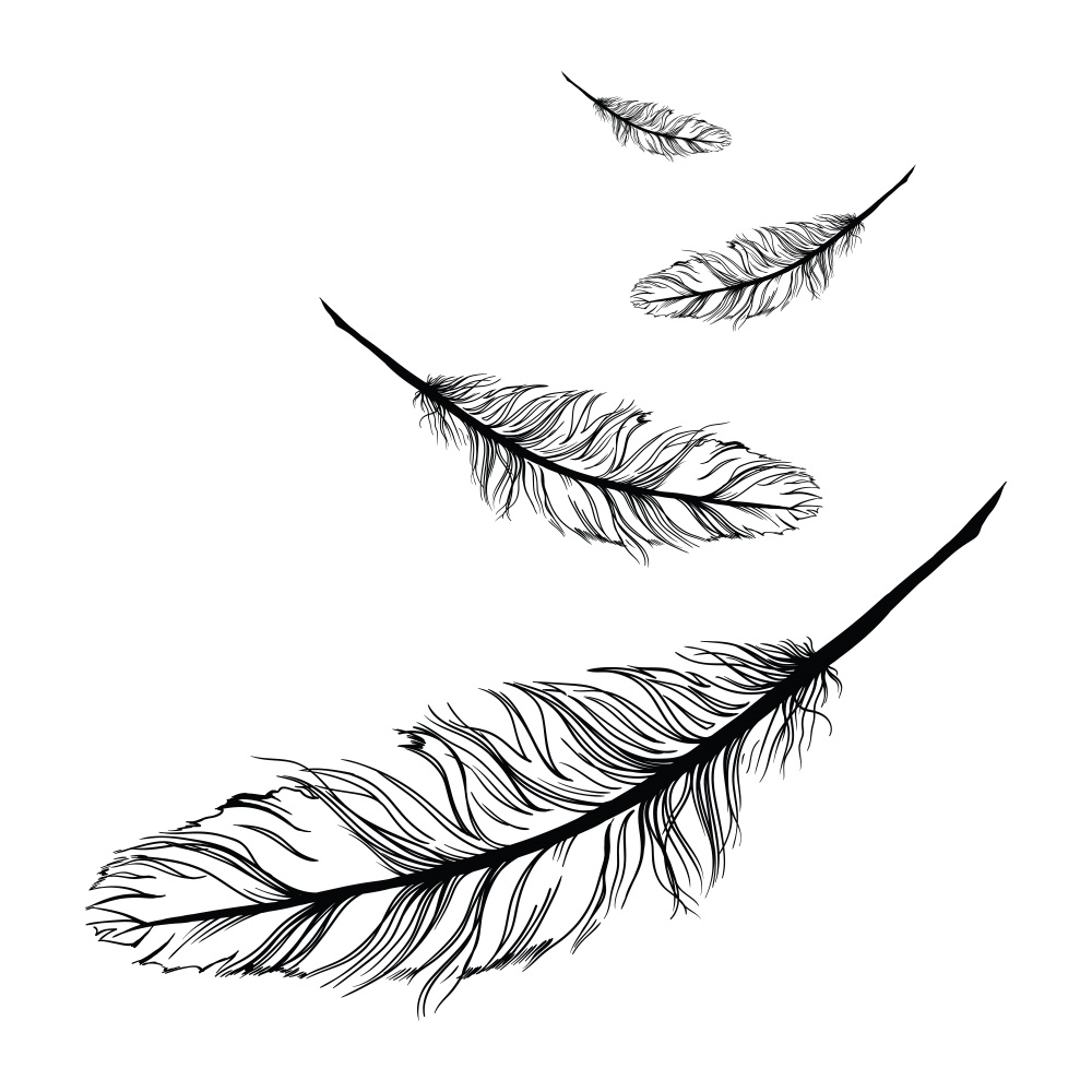 1000x1000 Huge Collection Of 'falling Feather Drawing' Download More Than