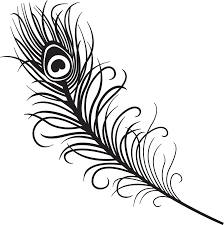 224x225 Image Result For Peacock Feather Tattoo Designs Black And White