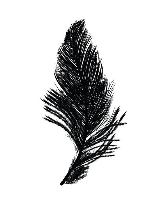 570x713 Set Of Black And White Feather Prints Modern Feather Etsy