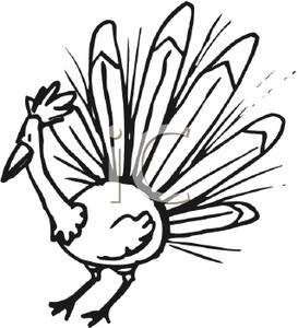 273x300 Chicken Black And White Feather Clipart