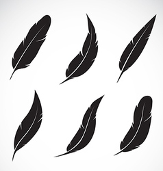 238x250 Collection Of Free Feather Clipart Crow Amusement Clipart