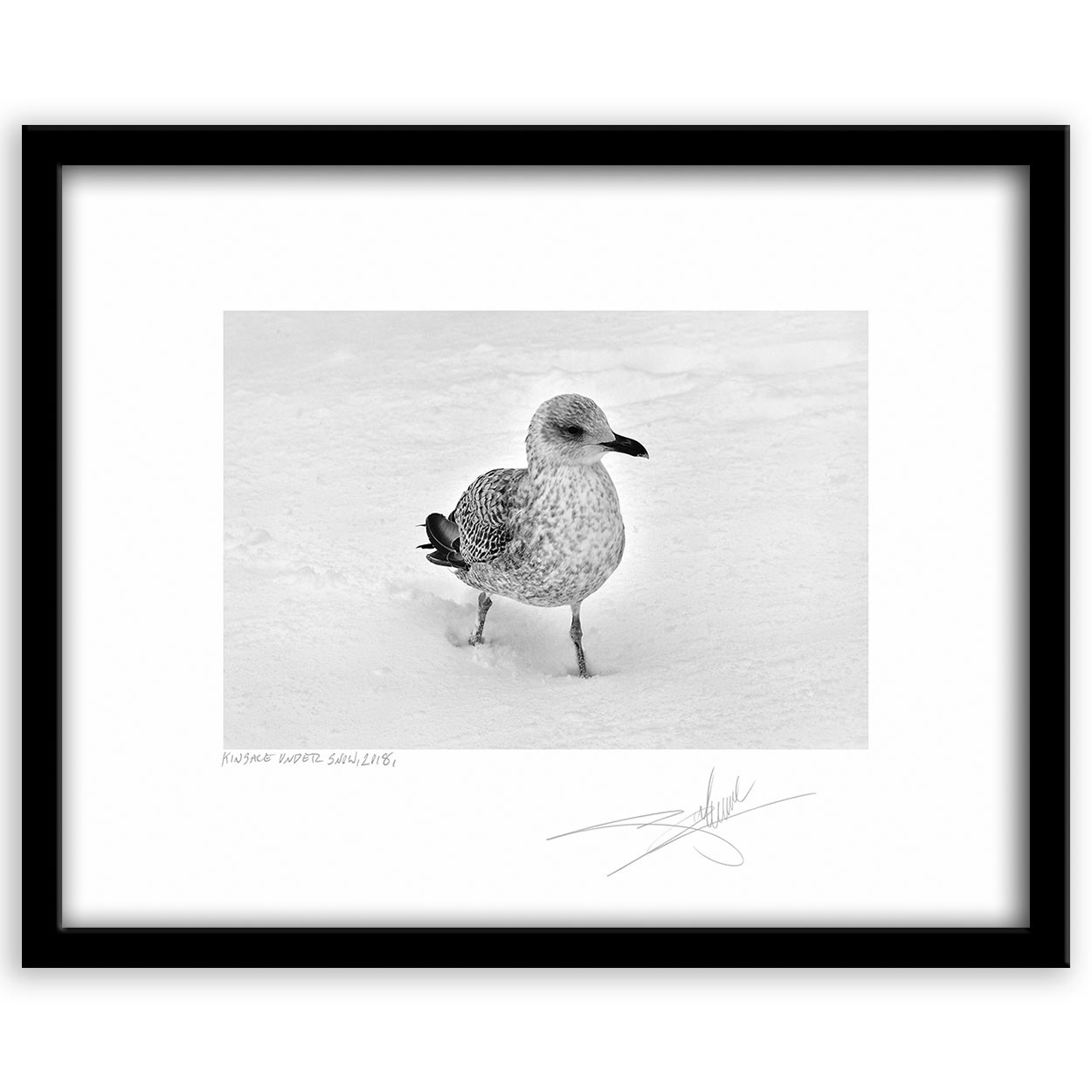 1250x1250 Kinsale Black And White Photography Giles Norman Gallery