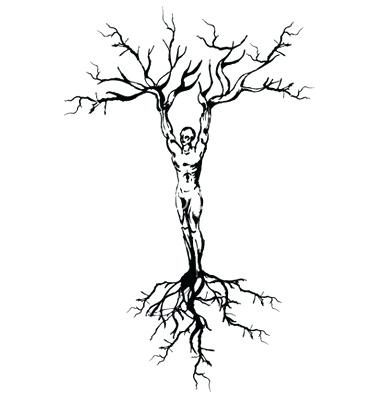 380x400 Drawing Of A Tree With Roots Healthyscrubs Club