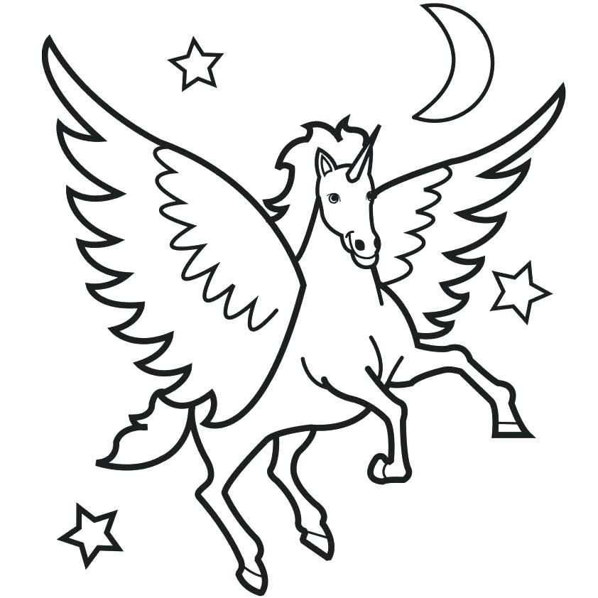 842x842 Pegasus Drawings