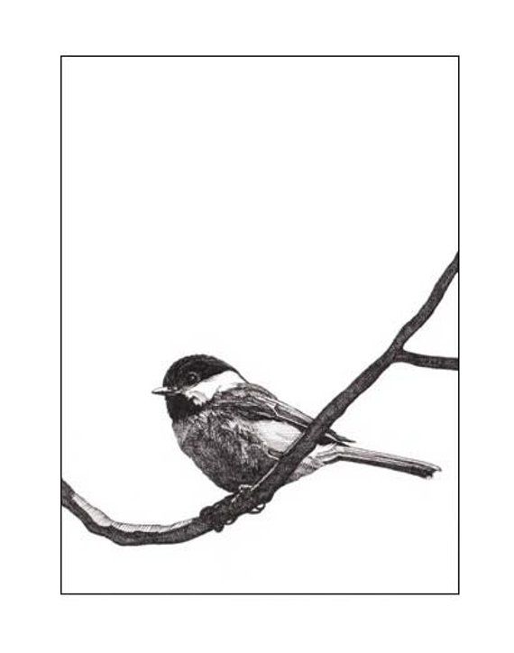 570x724 Pen And Ink Drawing Reproduction Black Capped Chickadee Note Cards