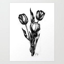 264x264 Line Drawing Art Prints
