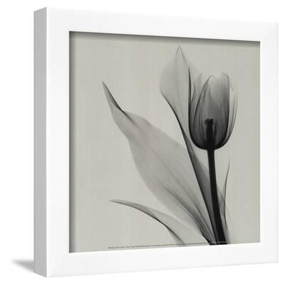 400x399 Beautiful Flowers Black And White Photography Artwork For Sale