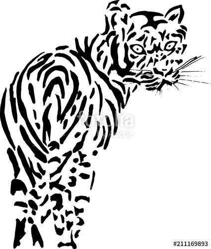 425x500 Black And White Illustration Of A Tiger Drawing From The Hand