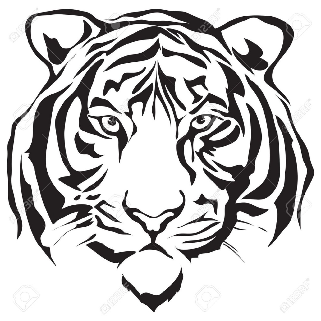 1024x1024 Huge Collection Of 'line Drawing Tiger' Download More Than