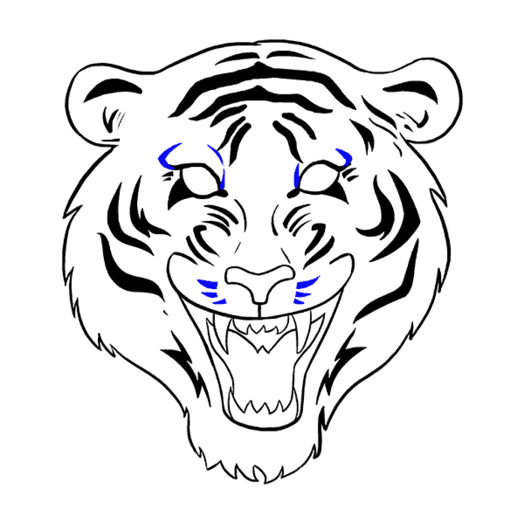 1024x1024 Tigers Drawing Transparent Png Clipart Free Download