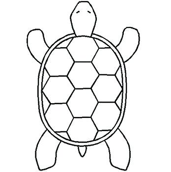 348x350 Outline Turtles Black And White Turtle Coloring Images Image