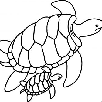 336x336 Turtle Drawing Cute Tumblr Black And White Tattoo Baby Sea I