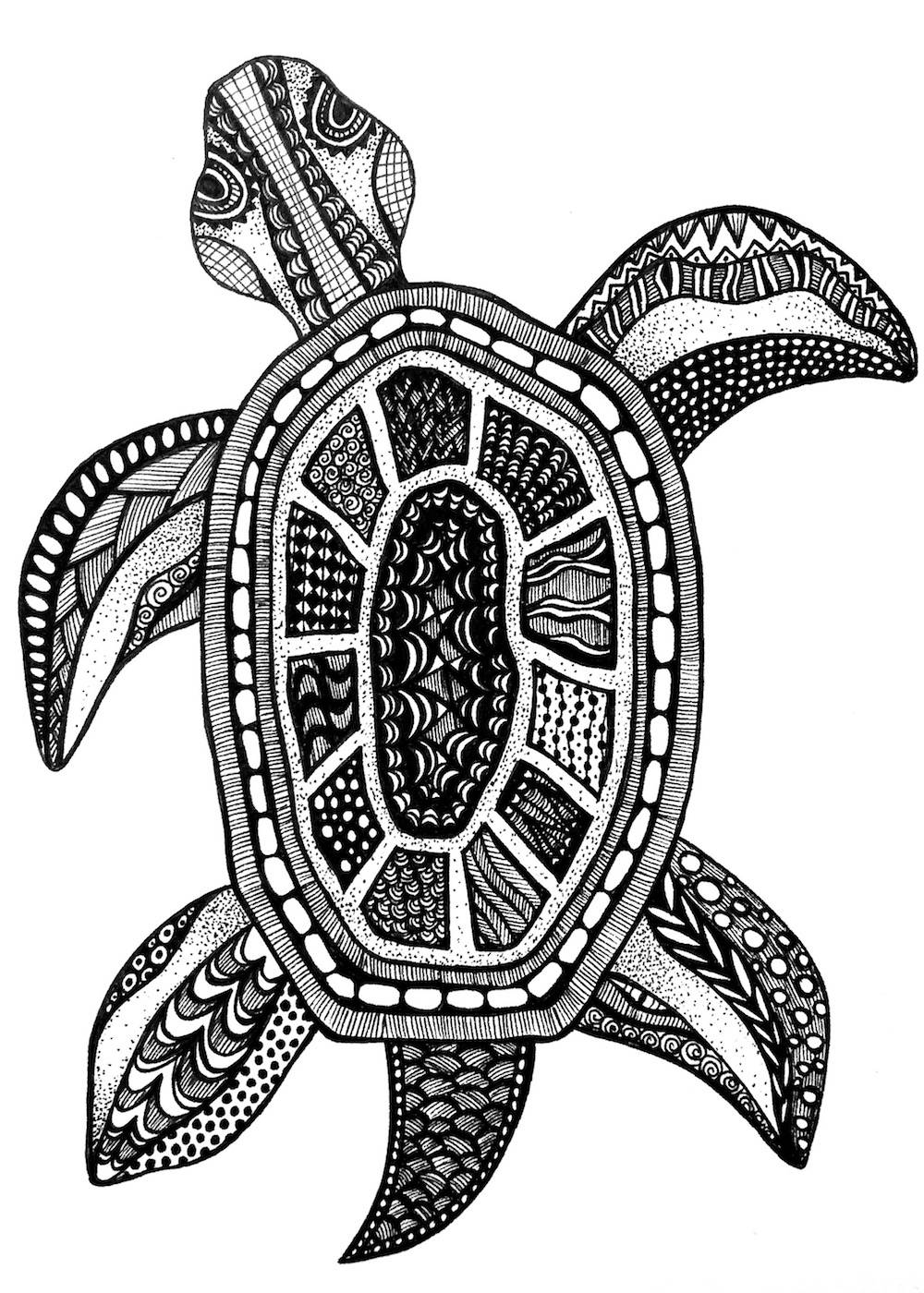 1000x1400 Turtle Print Zentangle Turtle Drawing Art Prints Black And Etsy