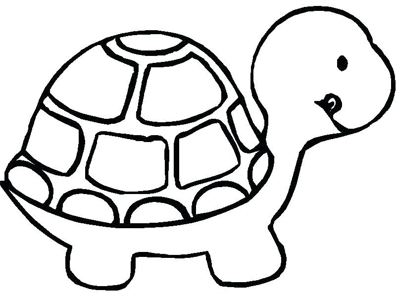 800x600 Turtle Cartoon Drawing