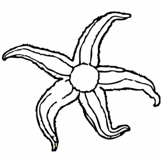 320x320 hd waves black and white water waves clipart black