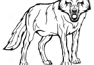 300x210 Line Drawing Of A Wolf Head Fresh Black And White Wolf Coloring