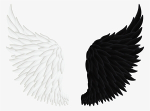 300x222 Angel Wings Png Download Transparent Angel Wings Png Images