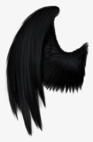 300x458 Black Wings Png, Free Hd Black Wings Transparent Image